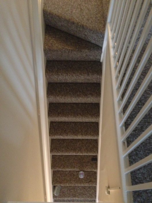 Letting Tenants new carpet 15