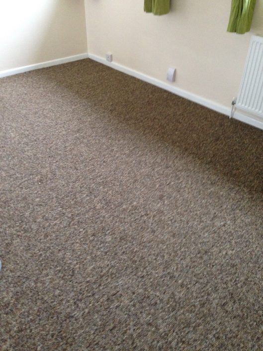Letting Tenants new carpet 4