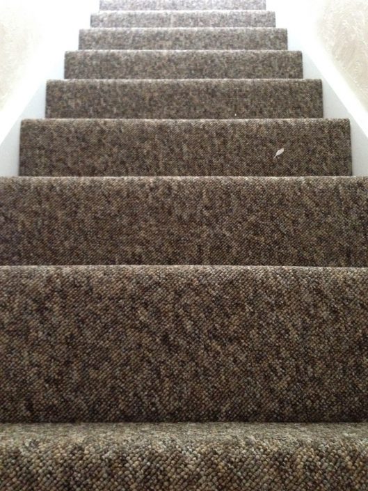Letting Tenants new carpet 5