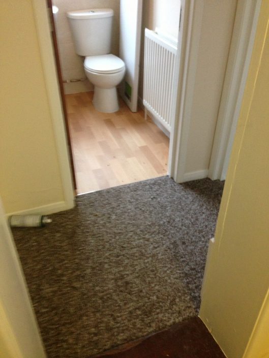 Letting Tenants new carpet 6