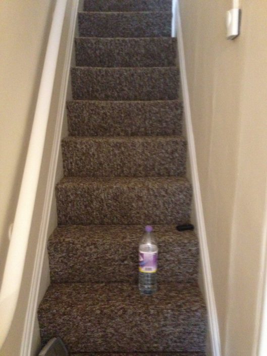 Letting Tenants new carpet 8
