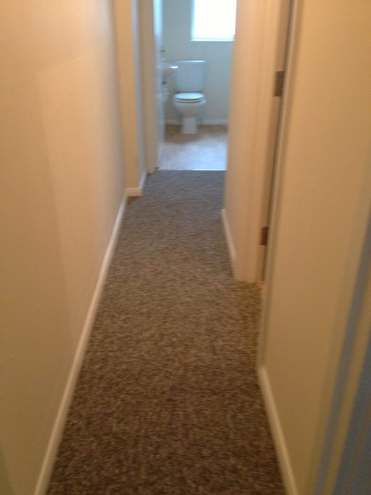 Letting Tenants new carpet 9